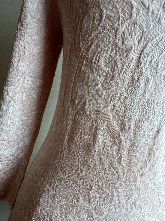 Alexander McQueen Pale Blush Lace Long-Sleeve Mini Dress - Picture 6 of 9
